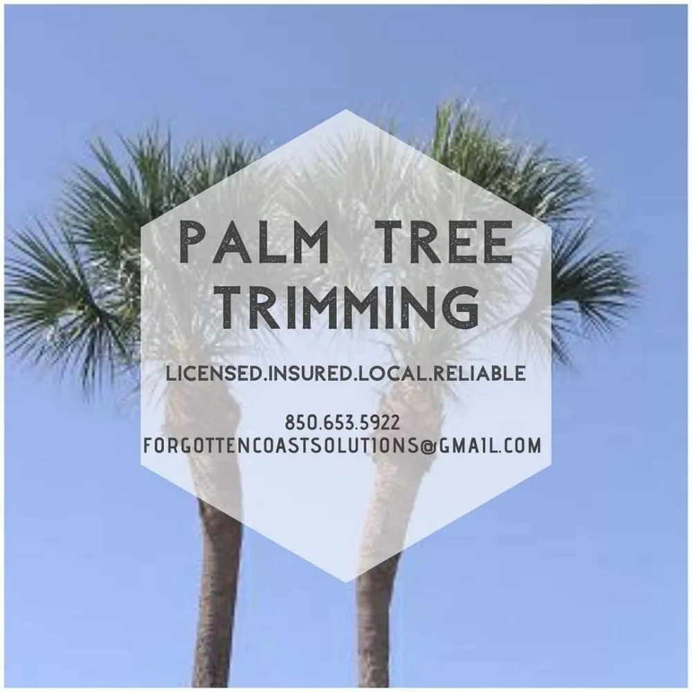 Custom yard cleanup service for outdoor upgrades across Apalachicola, FL - Forgotten Coast Solutions