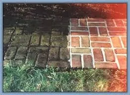 Local landscape design in Apalachicola, FL - Forgotten Coast Solutions