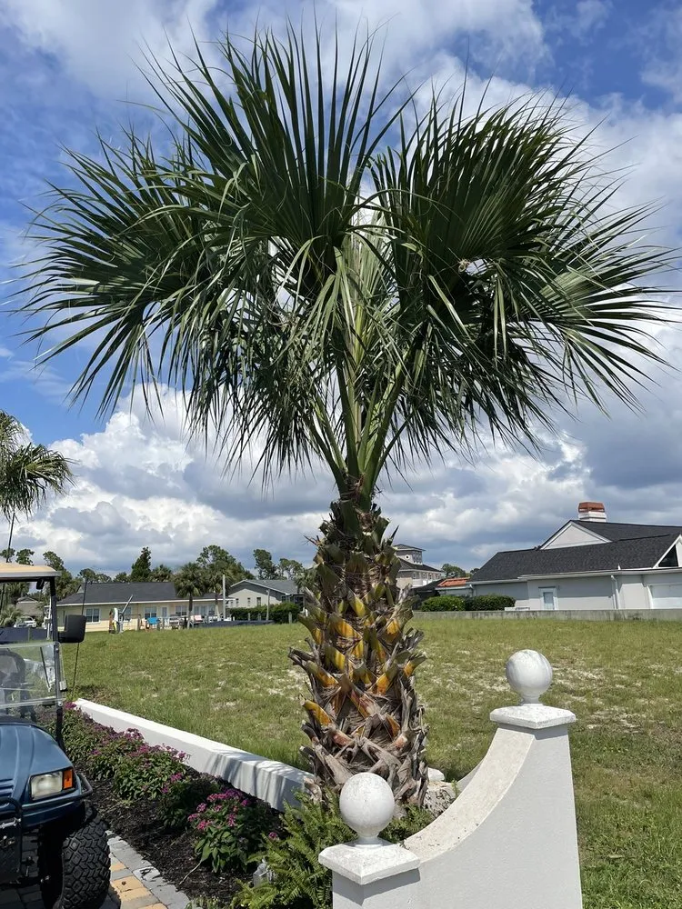 Trusted outdoor landscaping for homes across Port St. Joe, FL - Forgotten Palms