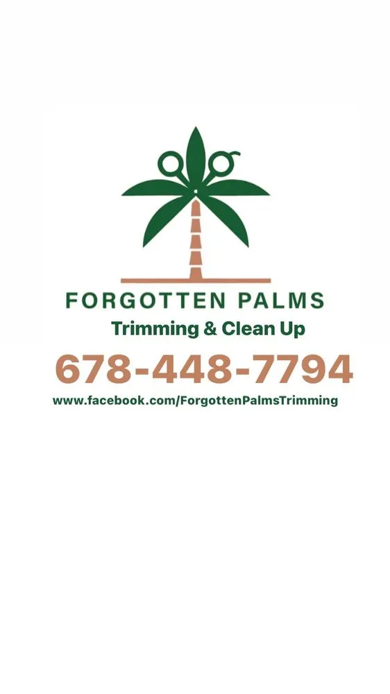 Top-rated outdoor landscaping in Port St. Joe, FL by Forgotten Palms