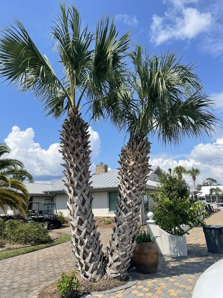 Reliable yard maintenance in Port St. Joe, FL - Forgotten Palms
