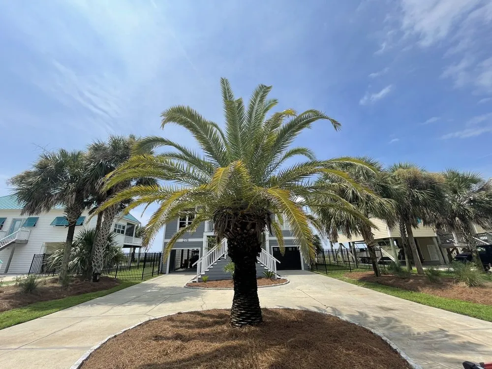 Professional lawn mowing service experts serving Port St. Joe, FL - Forgotten Palms