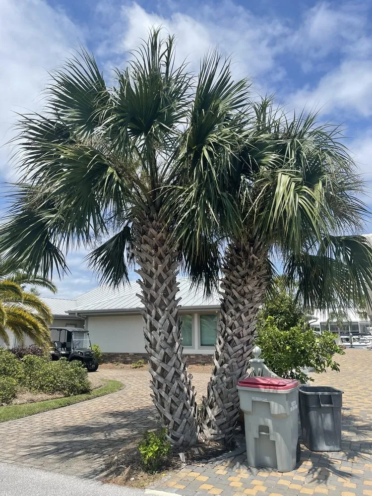 Reliable landscape installation in Port St. Joe, FL - Forgotten Palms