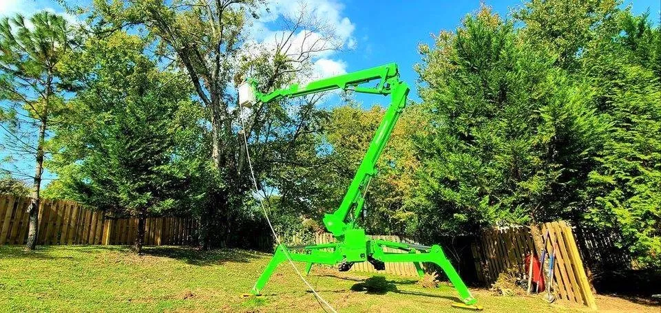 Affordable yard maintenance for homes across Nashville, TN - Foriest Tree Care