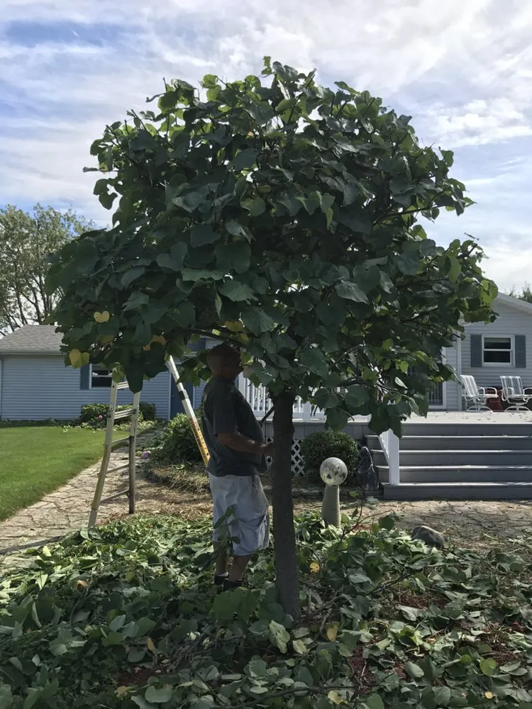 Trusted lawn care service for beautiful yards across Benton Harbor, MI - Forker's Landscaping & Property Maintenance