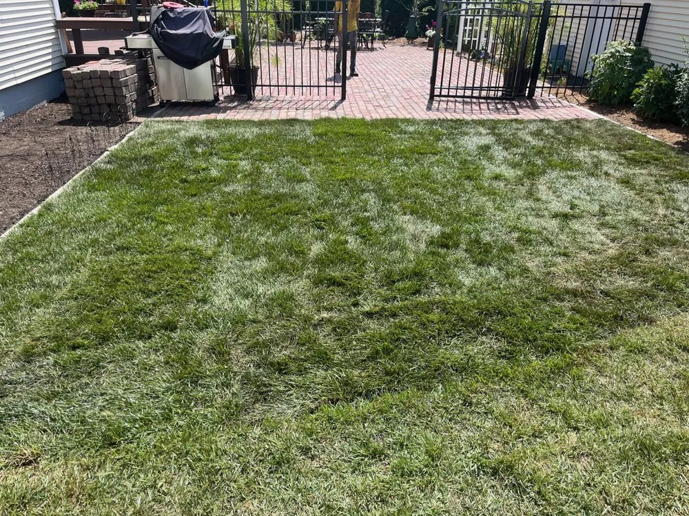 Expert landscape installation in Benton Harbor, MI by Forker's Landscaping & Property Maintenance