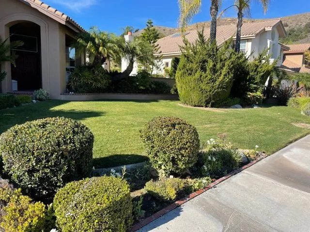 Top-rated lawn mowing service for outdoor upgrades across Mission Viejo, CA - Form And Focus Landscape