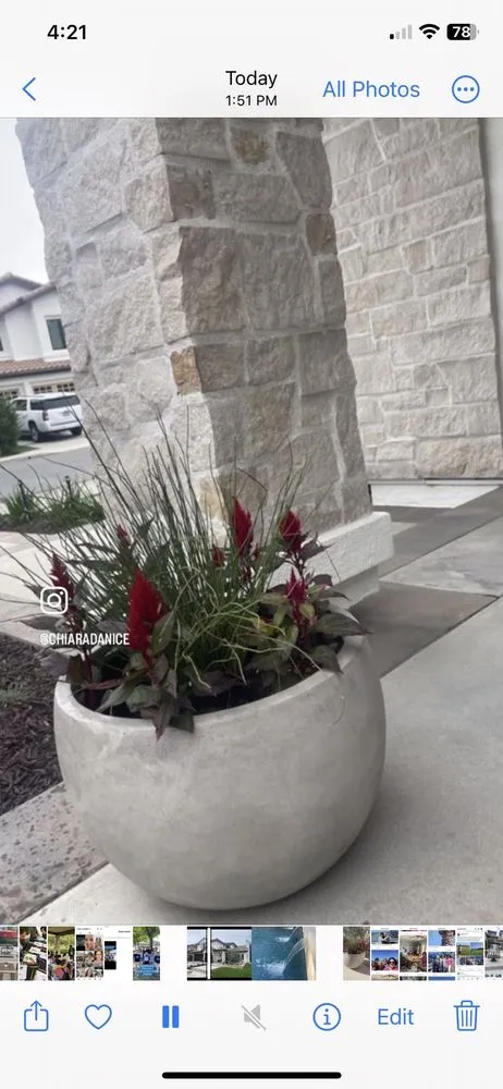 Professional yard cleanup service experts serving Mission Viejo, CA - Form And Focus Landscape