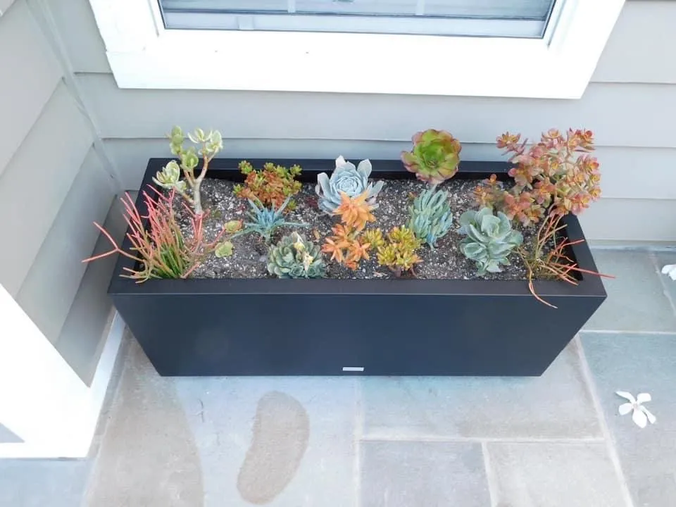 Affordable residential landscaping in Patterson, CA by Form and Function Landscapes