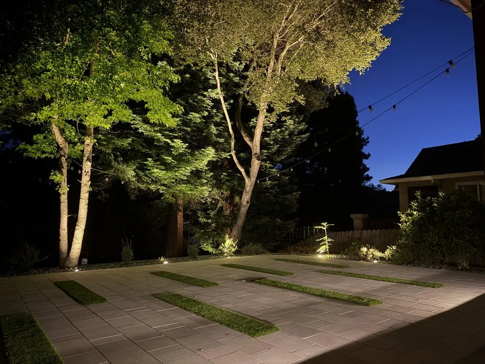 Reliable yard maintenance in Patterson, CA by Form and Function Landscapes