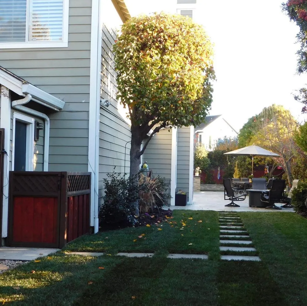 Expert yard cleanup service in Patterson, CA - Form and Function Landscapes
