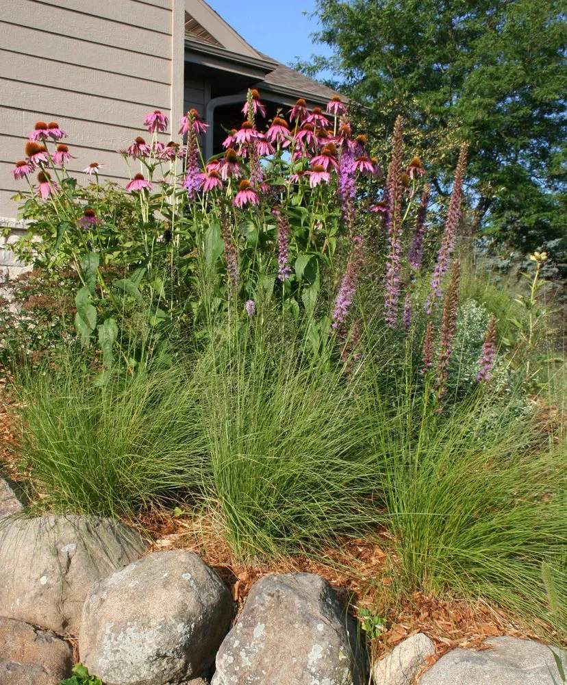 Professional outdoor landscaping in Evansville, WI - Formecology