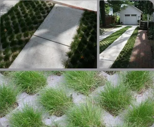 Affordable lawn care service experts serving Evansville, WI - Formecology