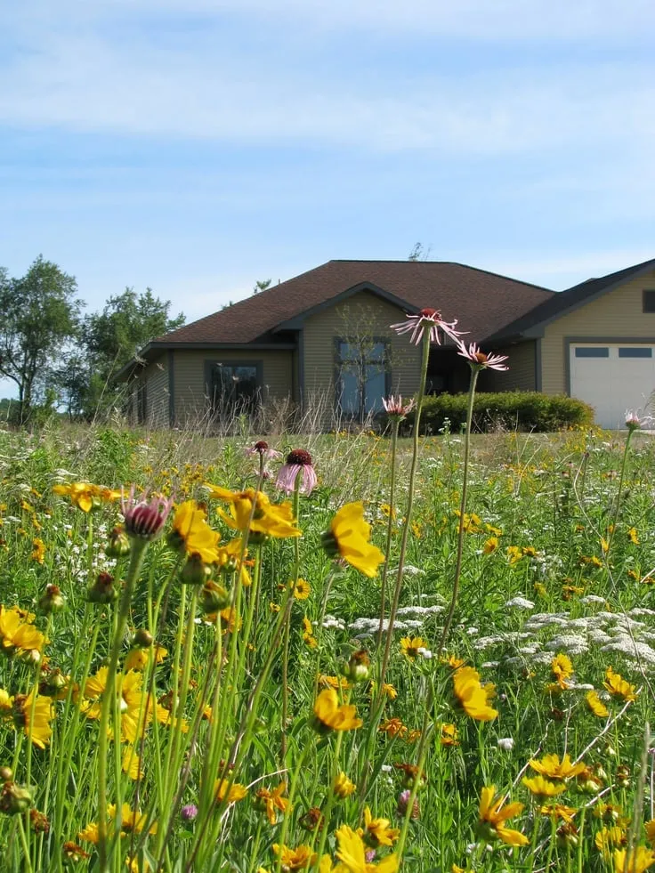 Expert lawn mowing service for beautiful yards in Evansville, WI by Formecology