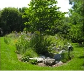 Local landscape design in Evansville, WI - Formecology
