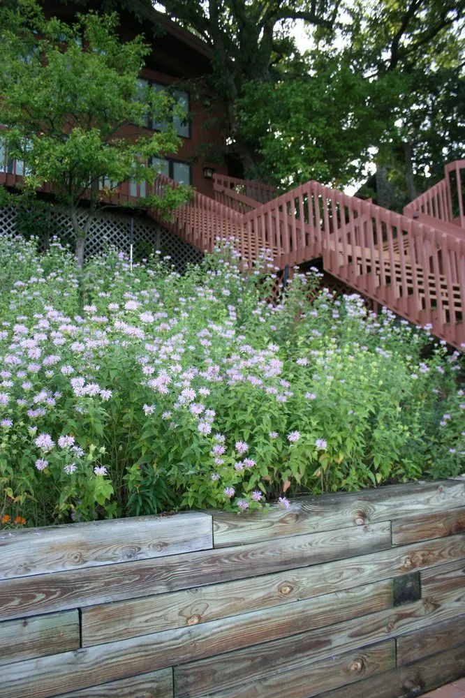 Trusted lawn mowing service for homes in Evansville, WI by Formecology