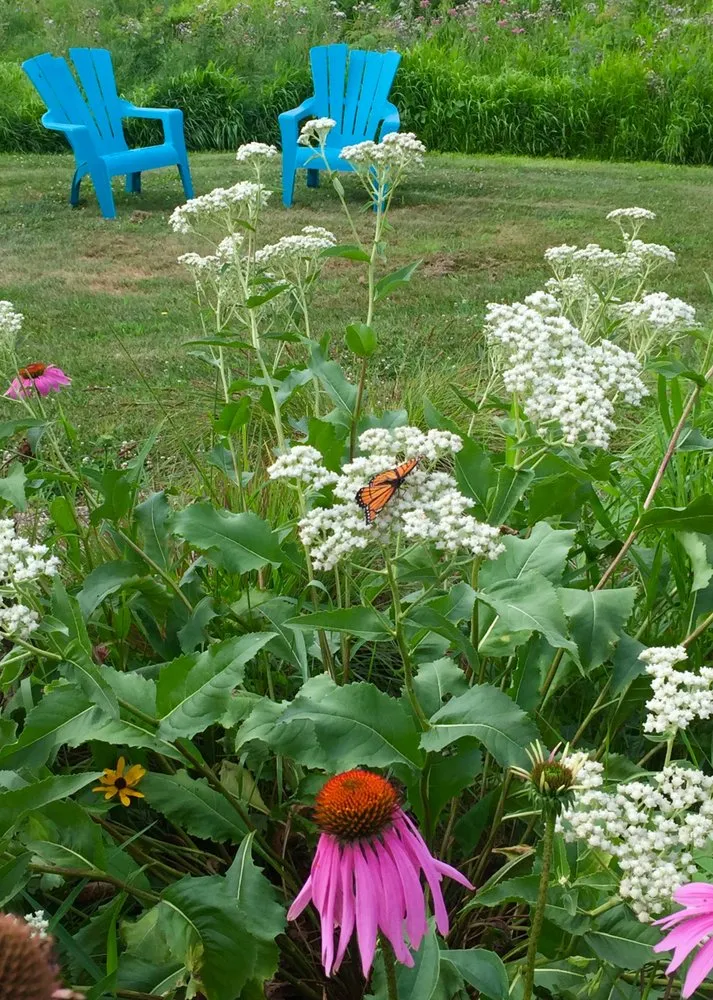 Reliable yard maintenance for outdoor upgrades across Evansville, WI - Formecology