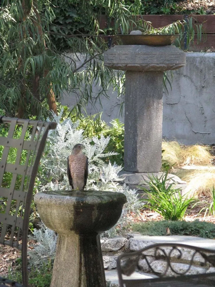 Top-rated lawn mowing service in Tujunga, CA - FormLA Landscaping