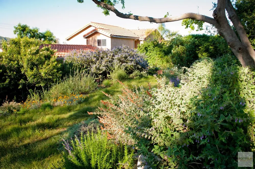 Custom landscaping services experts serving Tujunga, CA - FormLA Landscaping