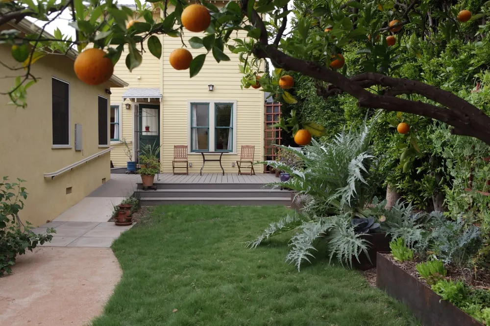 Top-rated landscape installation for year-round maintenance across Tujunga, CA - FormLA Landscaping