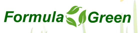 Expert yard cleanup service for beautiful yards across Gainesville, GA - Formula Green