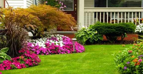 Local landscape design for outdoor upgrades in Gainesville, GA by Formula Green