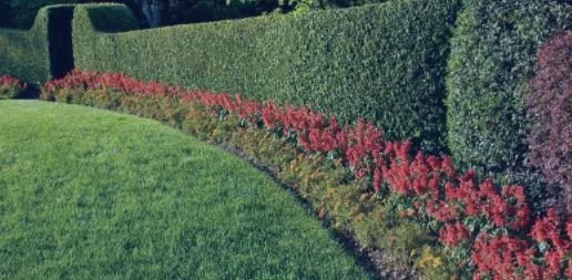 Professional lawn mowing service for residential properties across Gainesville, GA - Formula Green