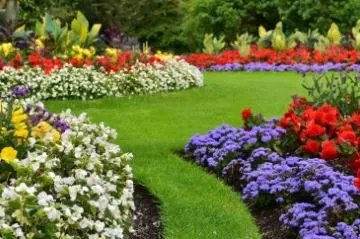 Affordable landscape installation experts serving Gainesville, GA - Formula Green