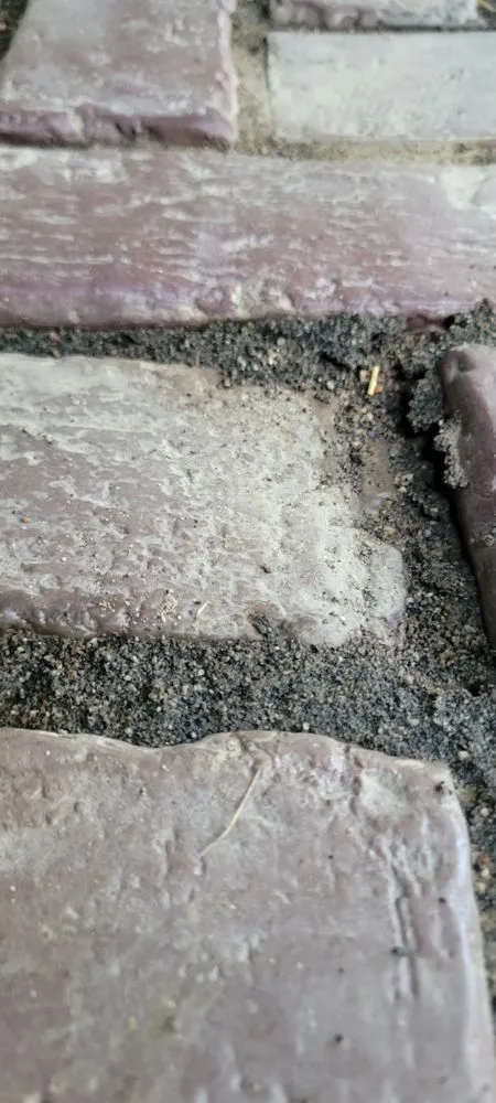 Custom lawn mowing service in Lakewood, OH - Forni Landscaping Arts