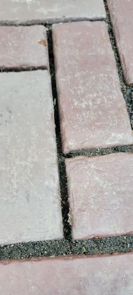 Affordable landscape design for outdoor upgrades in Lakewood, OH by Forni Landscaping Arts