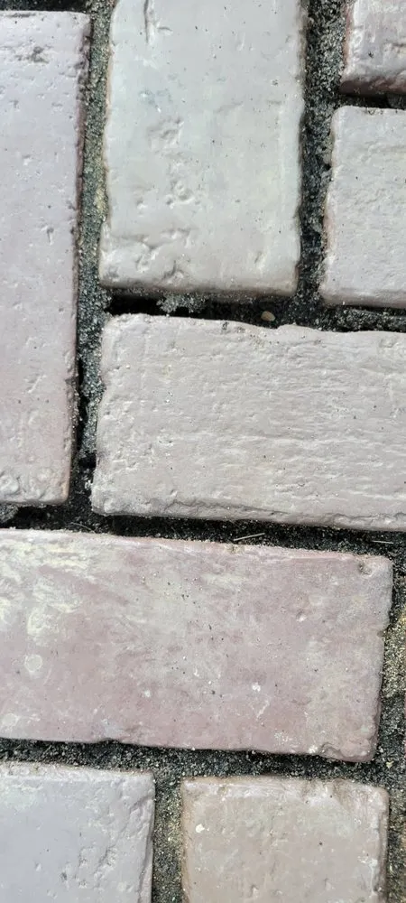 Top-rated residential landscaping experts serving Lakewood, OH - Forni Landscaping Arts