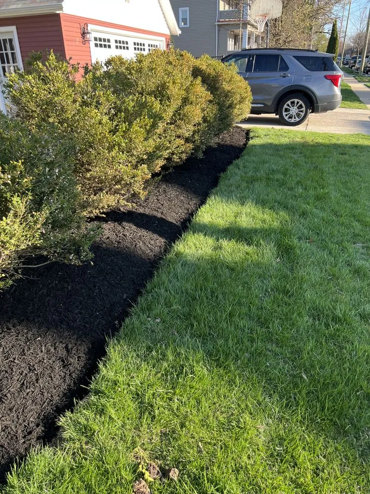 Trusted yard cleanup service in Lakewood, OH by Forni Landscaping Arts