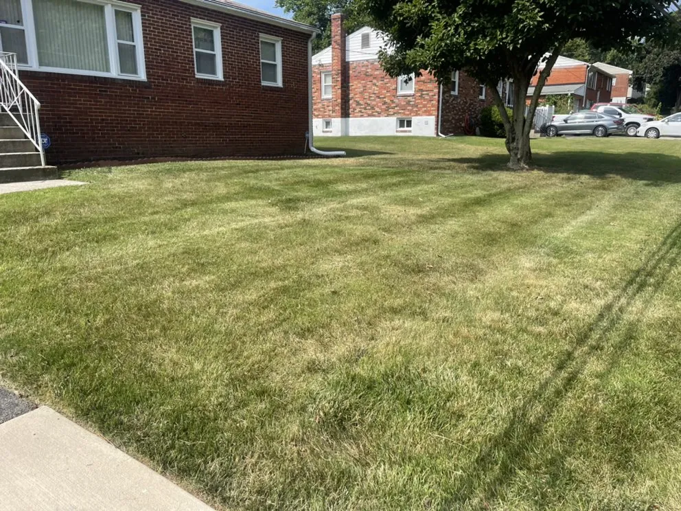 Professional landscape installation in Aquasco, MD by Forrest Clump “Run Mower Run”