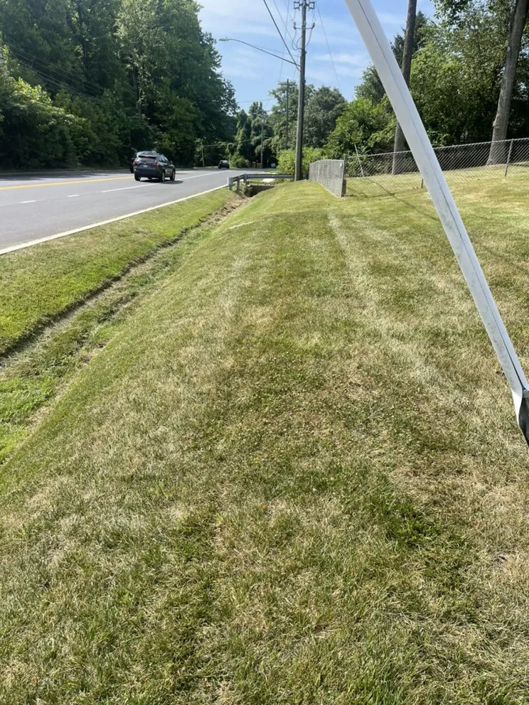 Local yard cleanup service experts serving Aquasco, MD - Forrest Clump “Run Mower Run”