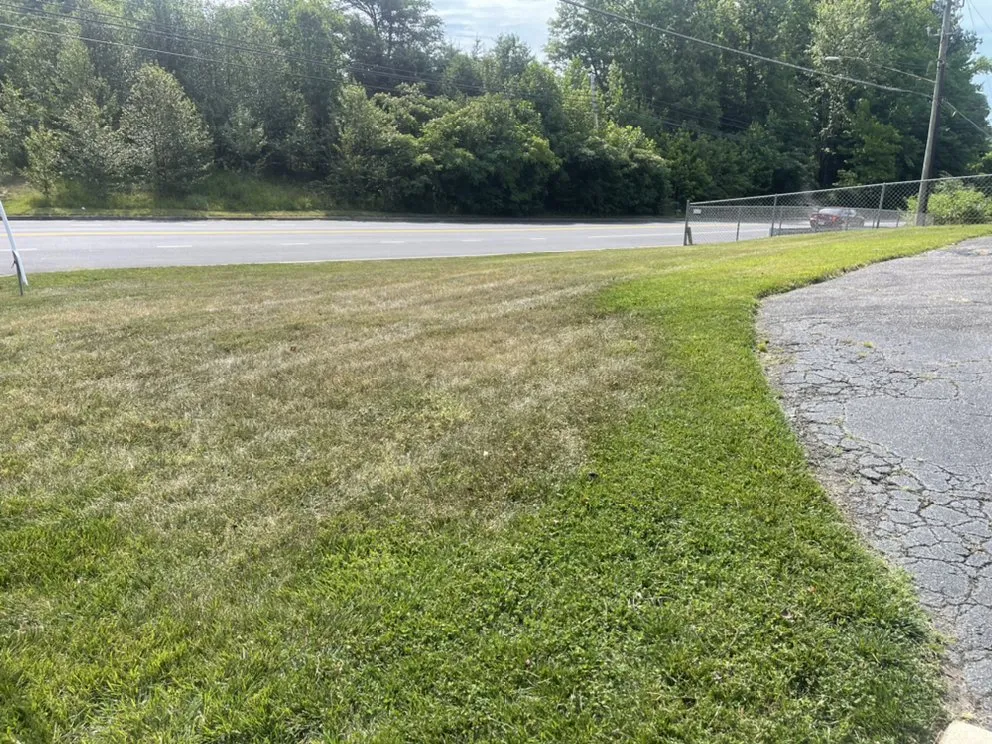 Custom lawn care service for beautiful yards in Aquasco, MD by Forrest Clump “Run Mower Run”