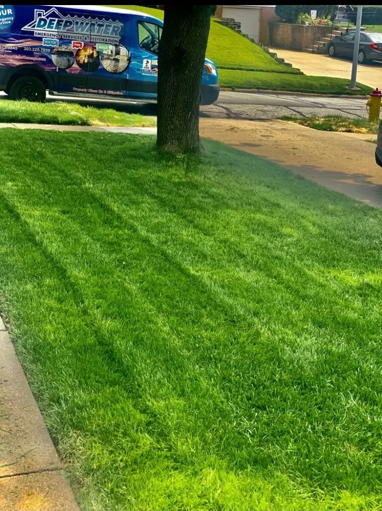 Top-rated landscape installation in La Vista, NE - Forrest Kings Ground Maintenance