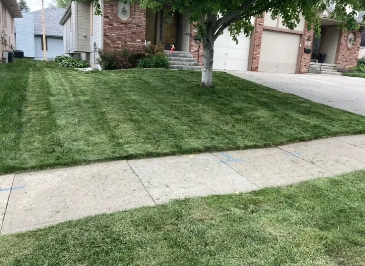 Reliable lawn care service for residential properties across La Vista, NE - Forrest Kings Ground Maintenance