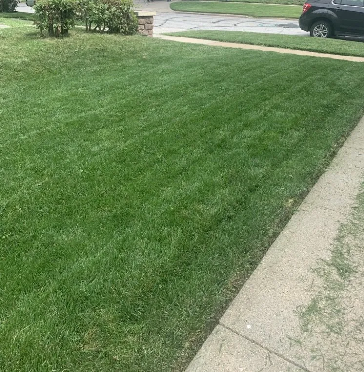 Affordable garden landscaping with custom design in La Vista, NE by Forrest Kings Ground Maintenance