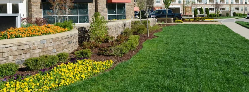 Affordable landscaping services in Princeton, MN - Forrest Lawnscape
