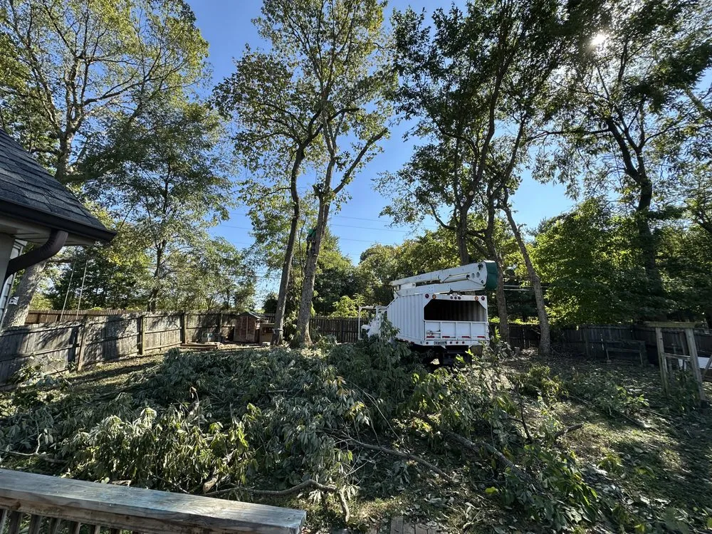 Professional landscape design near you in Clarksville, TN by Forrester Tree Services