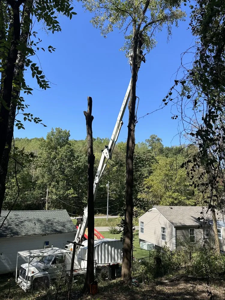 Affordable landscaping services experts serving Clarksville, TN - Forrester Tree Services