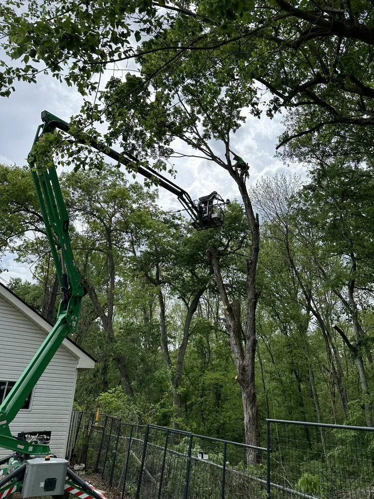 Expert landscape installation with custom design across Clarksville, TN - Forrester Tree Services