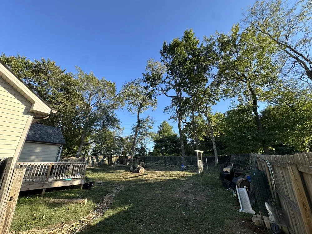 Top-rated lawn mowing service in Clarksville, TN by Forrester Tree Services