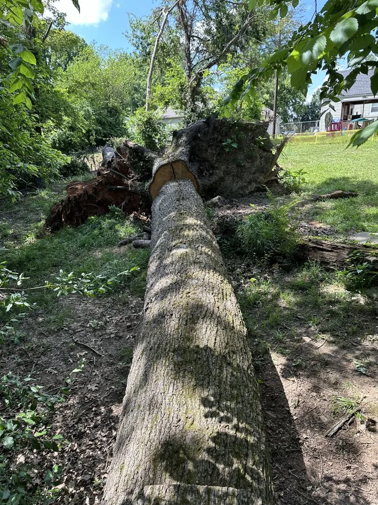 Trusted yard maintenance for homes in Clarksville, TN by Forrester Tree Services