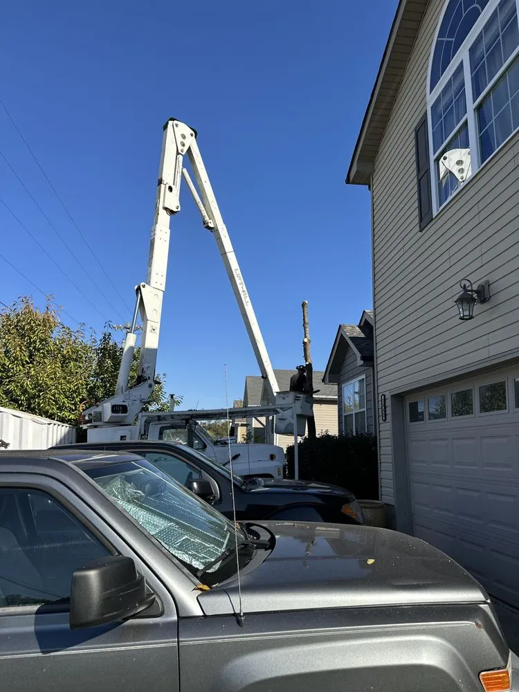 Trusted lawn care service in Clarksville, TN - Forrester Tree Services