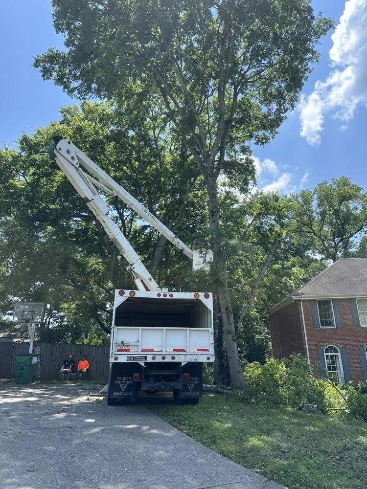 Trusted lawn care service in Clarksville, TN by Forrester Tree Services