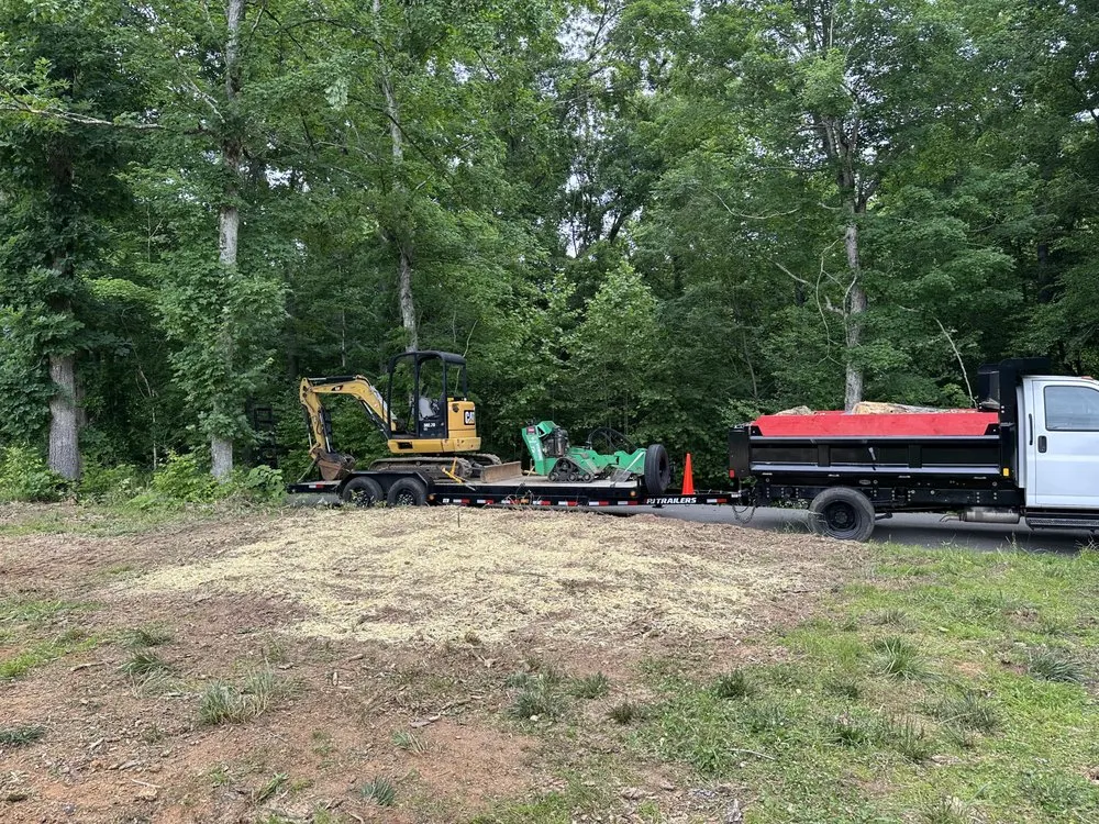 Expert yard cleanup service in Clarksville, TN - Forrester Tree Services