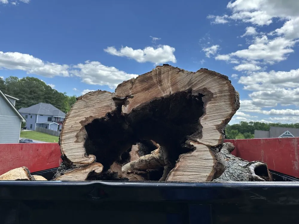 Affordable lawn care service in Clarksville, TN by Forrester Tree Services