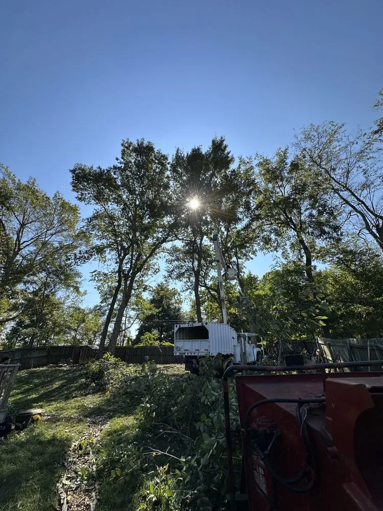 Expert yard cleanup service experts serving Clarksville, TN - Forrester Tree Services