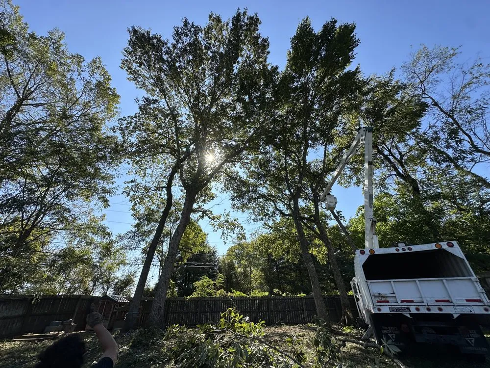 Professional landscape design in Clarksville, TN by Forrester Tree Services